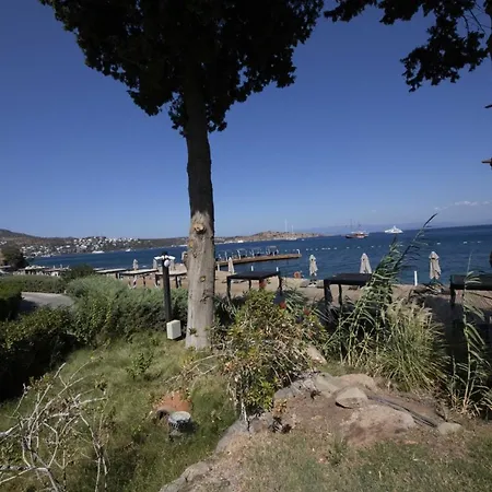 וילה Splendid Near Beach In
