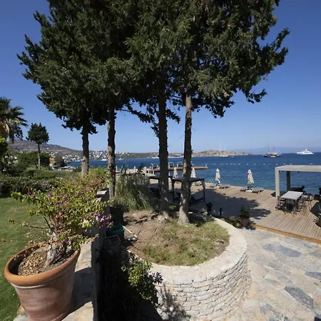 Splendid Near Beach In